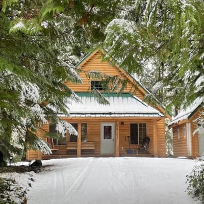Cabin | King-Bed | w/ Hot Tub Outdoor Dining & BBQ
